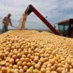 Chuva dá trégua e produtores aceleram colheita de soja em MS