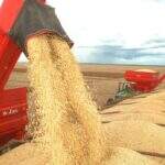 Secretaria de Fazenda divulga preço real da soja e de seus derivados