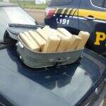PRF apreende 30 tabletes de maconha após motorista fugir de abordagem policial