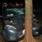 Motorista perde controle de carro e bate em árvore na MS-376