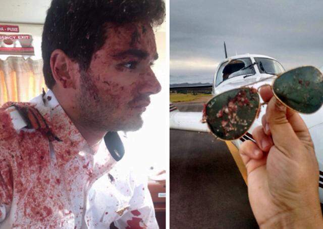 No Maranhão, urubu bate em avião e estoura vidro; assista ao vídeo