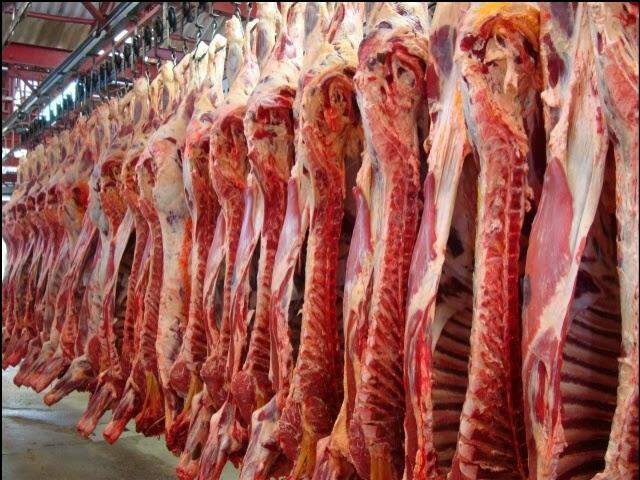 Brasil deve aumentar em 30% produção de carnes até 2025