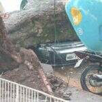 Mau tempo derruba árvores centenárias e danifica veículos em Maracaju