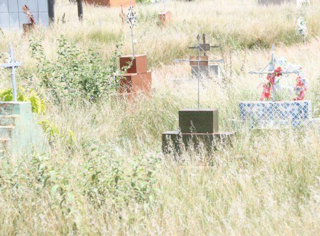 Prefeitura dispensa licitação e contrata Taira para manutenção de cemitérios