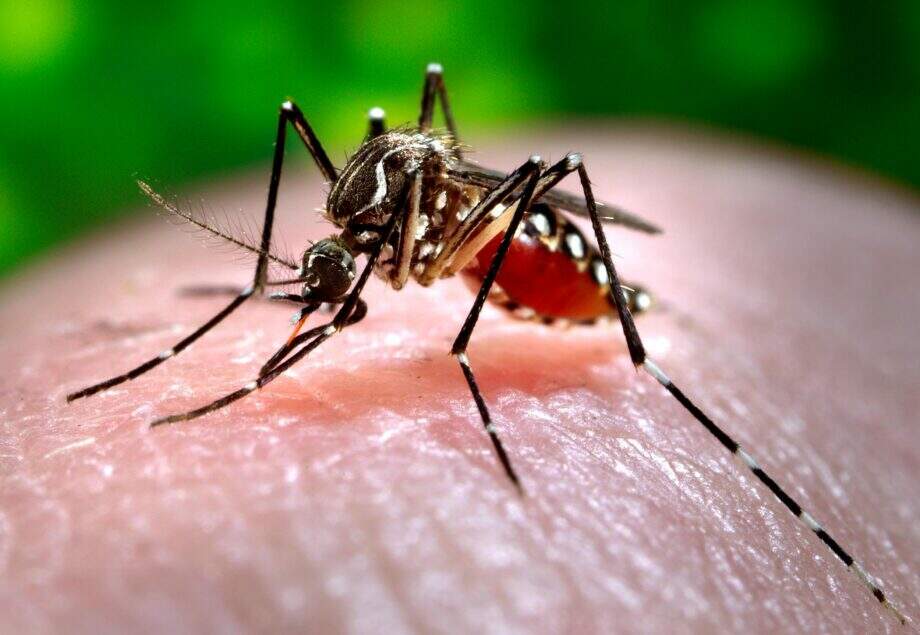 Secretaria de Saúde confirma caso de chikungunya em Corumbá