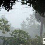 Chuva provoca quedas de árvores e acidentes em Corumbá e Ladário