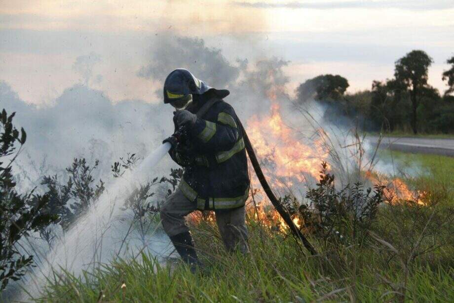 Com tempo seco, bombeiros são acionados para atender um incêndio a cada meia hora