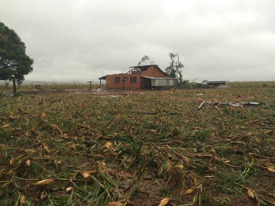Ventos e chuva destroem pelo menos 2 mil hectares de plantações em MS