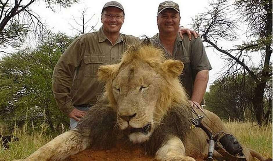 Caçador de leão símbolo do Zimbábue é um dentista americano