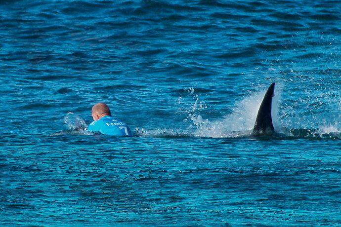 Mick Fannning diz ter visto outro tubarão em seu retorno ao mar após trauma
