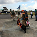 Cães farejadores vão ajudar nas buscas de helicóptero desaparecido na Amazônia