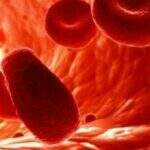 Hemofilia: Quase 13 mil pacientes estão cadastrados no Brasil