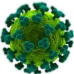 Cientistas criam vacina experimental que gera anticorpos do HIV em roedor