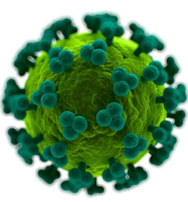 Cientistas criam vacina experimental que gera anticorpos do HIV em roedor