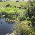 PMs são presos em suposta invasão de fazenda da região do Pantanal