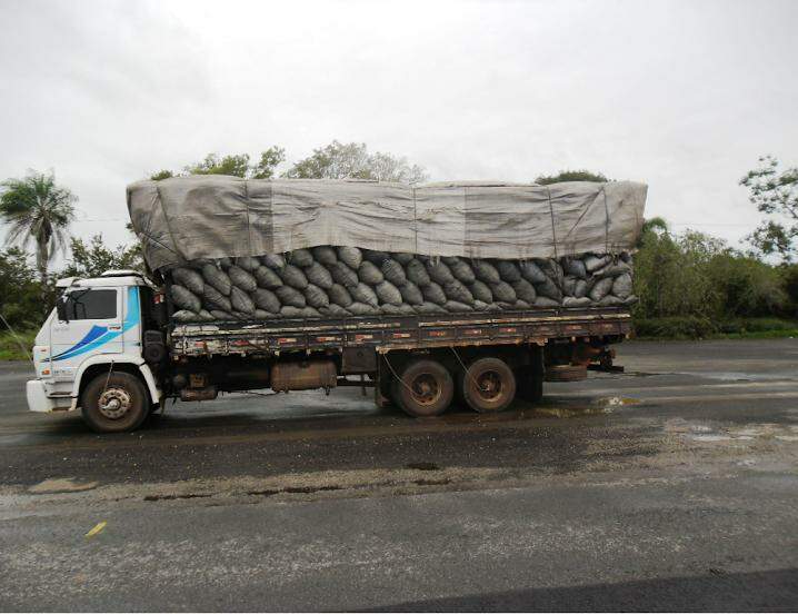 PMA apreende caminhão com carga de 80 m³ de carvão ilegal e aplica multa de R$ 24 mil