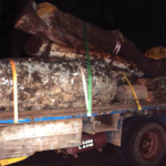 Caminhão com carga de madeira ilegal é apreendido na MS-080