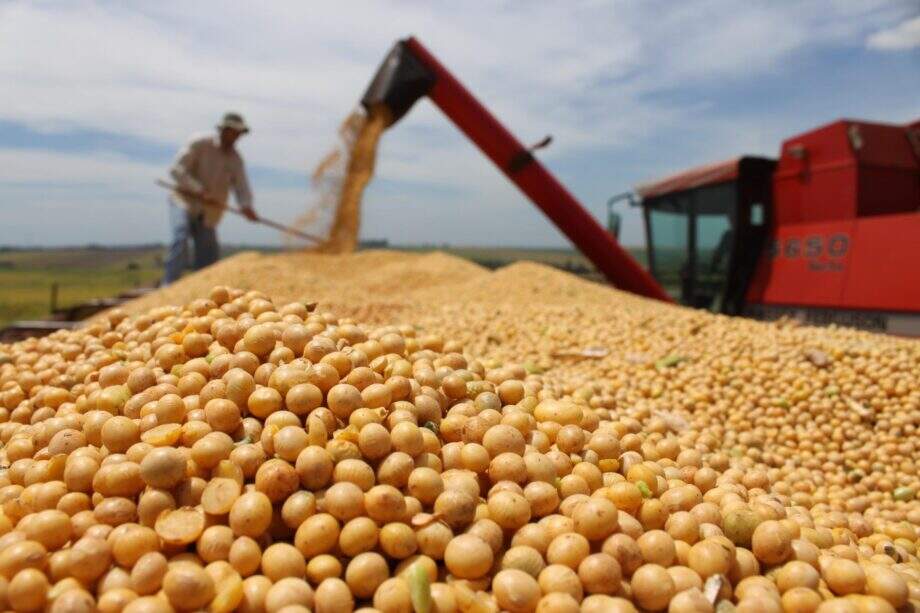Bienal da Agricultura: CO é responsável por 48,5% da produção nacional de soja