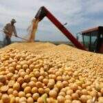 Brasil terá exportação de soja recorde em maio, apontam dados