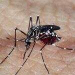 Dengue mata jovem de 26 anos em Dourados e casos já somam 7 em MS
