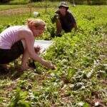 Plano Safra da Agricultura Familiar terá no mínimo R$ 25 bilhões