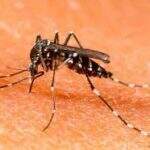Saúde investiga morte em Campo Grande que pode ter sido causada pela dengue