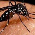 Saúde confirma morte em Três Lagoas e óbitos por dengue chegam a oito