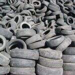 Prefeitura da Capital faz parceria com CMO para destinar toneladas de pneus