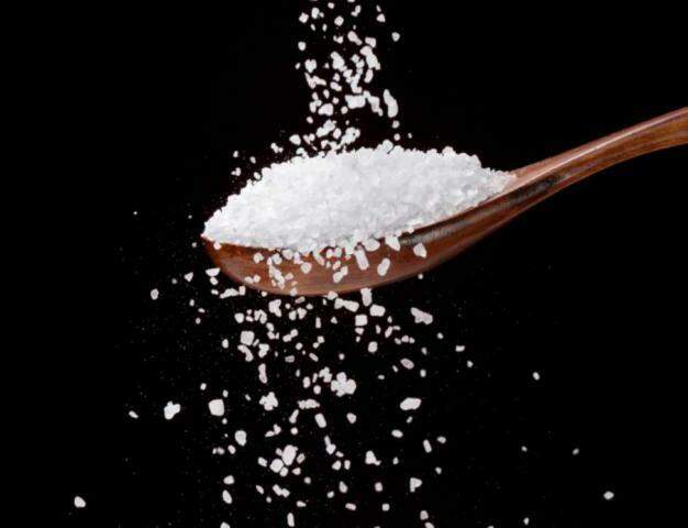 Excesso de sal pode retardar puberdade e afetar fertilidade