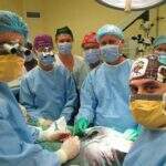 África do Sul realiza primeiro transplante de pênis com recuperação de todas as funções