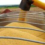 Colheita de soja em Mato Grosso do Sul deve ser concluída em até dez dias