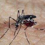 Casos de dengue aumentam 139% no país, de acordo com Ministério da Saúde