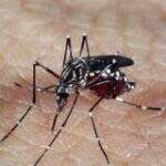 Campo Grande já registra mais de mil casos de dengue