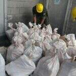 Polícia Federal incinera 1,8 tonelada de cocaína em Corumbá