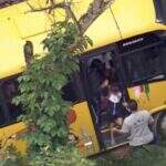 Ônibus escolar fica preso em árvore depois de descer ribanceira em SP