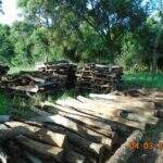 Fazendeiro é multado em R$ 121 mil por exploração de madeira em reserva legal