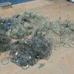 Polícia Militar Ambiental apreende 500 metros de rede e libera 10 quilos de peixes