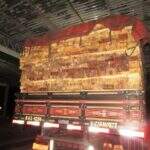 Caminhão é apreendido com carga de madeira ilegal e motorista multado em R$ 8,1 mil