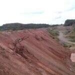 PMA autua mineradora em R$ 10 mil por enterrar madeira de lei em desmatamento