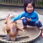 Menina de 5 anos chora ao achar seu cão assado em mercado