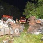 Motorista morre em acidente com duas carretas na MS-276