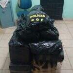 Catarinense é preso transportando mais de 250 quilos de maconha em caminhão