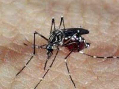 Ministério da Saúde classifica Campo Grande com ‘índice satisfatório’ em relação à dengue