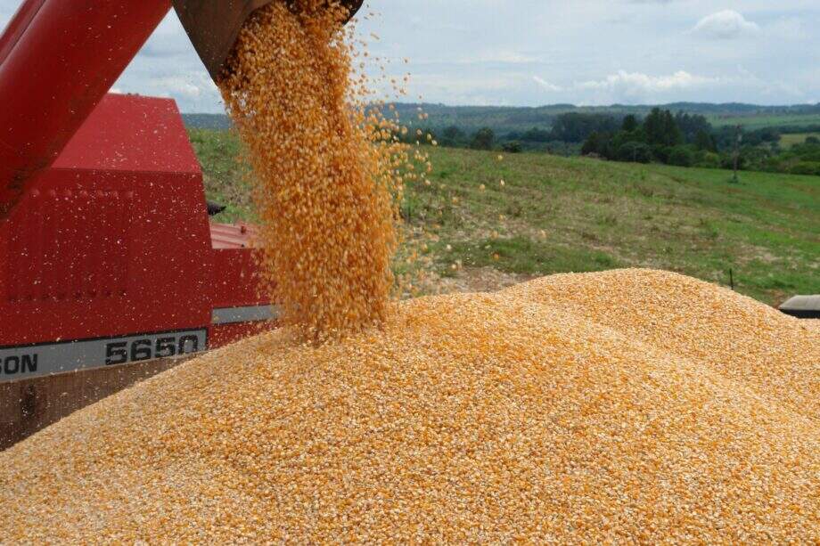 Agricultores já plantaram 65% da área de soja em MS