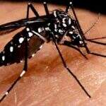 Secretaria confirma 14ª morte por dengue em Mato Grosso do Sul
