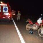 Motociclista fica ferido após atropelar tamanduá na BR-359
