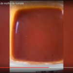 VÍDEO: consumidora acha ‘corós’ em molho de tomate; empresa diz que é semente