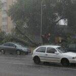 Chuva chega, finalmente, e provoca queda de árvore na Avenida Afonso Pena
