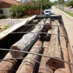 PMA apreende carga de madeira e aplica multa de R$ 14,7 mil em pecuarista