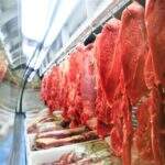 Agricultura negocia para ampliar mercado externo de carne